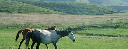 Foto 3 Excursión a caballo de un día a Alma - Garganta de Arasan