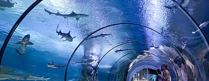 Фото 2 Экскурсия в аквариум из Анталии