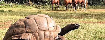 Photo 3 Makoa Farm Walking Tour