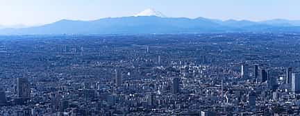 Photo 3 Tokyo: Fuji - Hakone - Yokohama Heli Ride (1-5 persons)