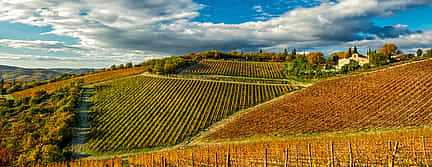 Photo 3 Exclusive Chianti with Dinner Half-day Tour from Florence