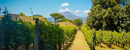 Photo 2 Mount Vesuvius Wine Tour