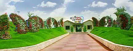 Photo 2 Dubai Butterfly Garden Entrance Tickets