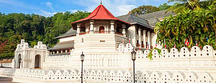 Photo 3 Explore Kandy  Private City Tour from Colombo