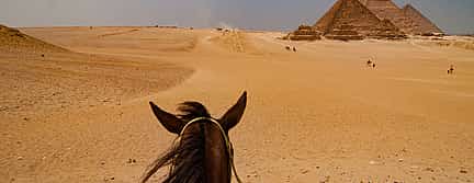 Photo 3 Camel or Horse Ride at Giza Pyramids