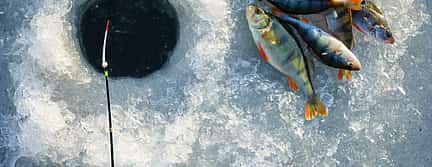 Foto 3 Erlebnis Eisfischen von Pyha und Luosto
