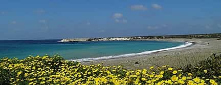 Photo 3 Buggy Tour from Coral Bay to Adonis Baths (1 buggy for 1 or 2 persons)