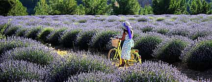 Photo 3 Lavender Fields and Lake Salda from Side.