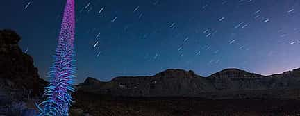 Photo 2 Teide under the stars: Stargazing, Dinner and Hotel Pick-up.