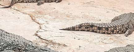 Photo 2 Djerba Explore: A Stunning Journey into Culture and Nature