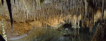 Photo 2 Private Tour: Caves of Drach and Porto Cristo