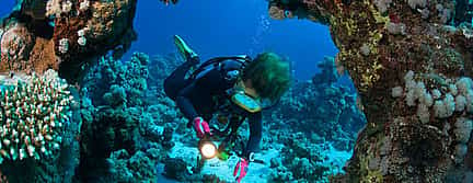 Фото 2 Откройте для себя подводное плавание