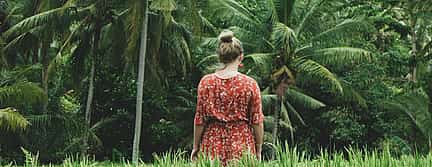 Photo 3 Ubud Jungle Swing and Hidden Waterfalls Tour