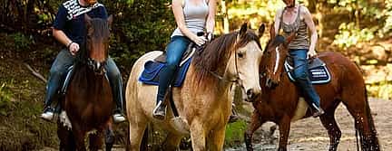 Foto 2 Paseos a caballo en el Parque Nacional de Marmaris