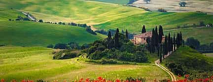 Фото 2 Pienza and Montepulciano Food and Wine Tour from Siena
