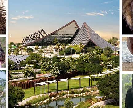Photo 2 Dubai Safari Park with Round Trip Transfers