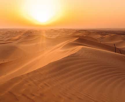 Foto 2 Safari matinal por el desierto desde Abu Dhabi