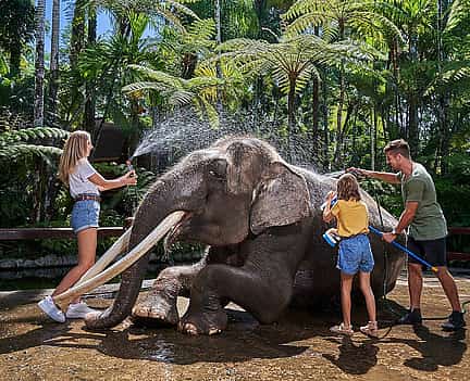 Photo 2 Bali Elephant Safari Park Tour Valentine's Day Tour