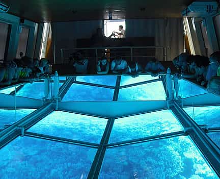 Фото 2 Exploring the Sea in Glass Bottom Boat in Sharm el Sheikh
