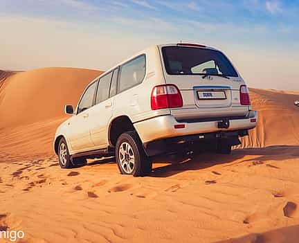 Фото 2 Сафари в пустыне Дубая премиум-класса