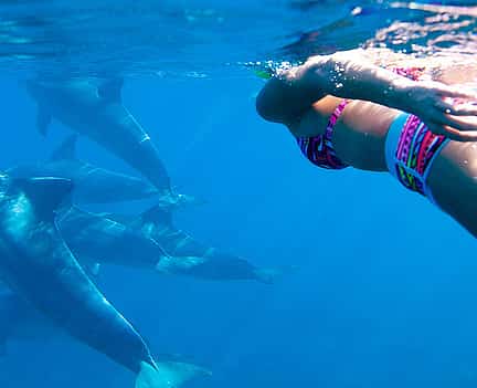 Photo 2 Swimming with Dolphins Tour in Zanzibar