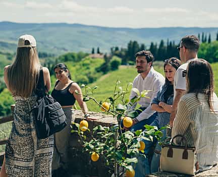Photo 2 Full Day Chianti Tour. Small Group with Local Sommelier