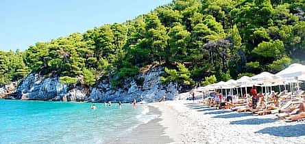 Photo 2 Mamma Mia Highlights