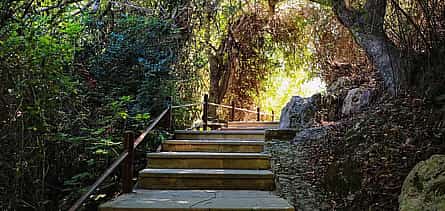 Photo 2 Blue Lagoon and Aphrodite’s Birthplace Day Tour from Limassol