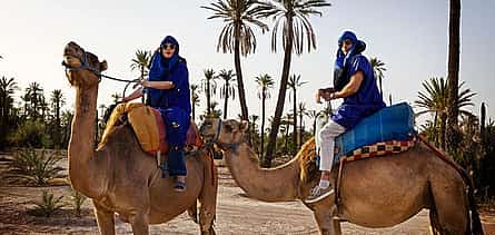 Photo 2 Camel ride in Marrakech Palmeraie Oasis