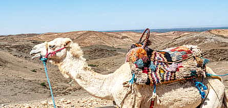 Photo 2 Atlas Mountains and Camel Ride in Agafay Desert Full-day Trip