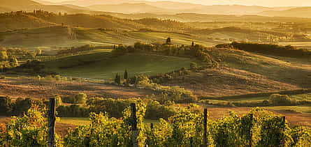 Photo 2 Exclusive Chianti Rufina Private Half Day Tour with Lunch and Wine Tasting from Florence