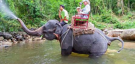 Foto 2 Phuket: Rafting en aguas bravas 5 km, tirolina y paseo en elefante