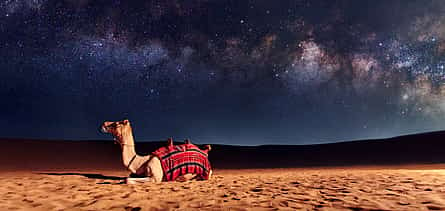 Фото 2 Романтическая ночь в пустыне