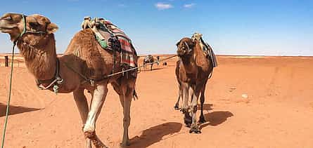 Photo 2 Tunisian Treasures: 4-Day Discovery of the South From Tunis