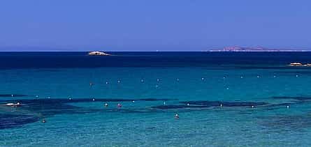 Photo 2 Full Day Athens City tour and Cape Sounio with Lunch