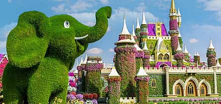 Photo 2 Dubai Miracle Garden, Dubai Mall Shopping, Burj Khalifa 124/125th Floor and Musical Fountain Show Visit with Private Transfers