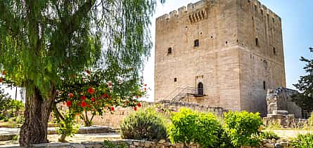 Фото 2 Экскурсия в древний Курион, замок Колосси, Омодос и винодельню из Лимассола