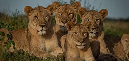 Fotografie 2 3-Day Private Safari to Tarangire, Lake Eyasi and Ngorongoro Crater