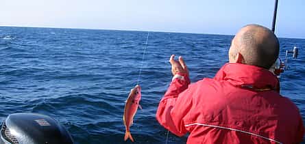 Photo 2 Cascais Small Group Deep-Sea Fishing Experience