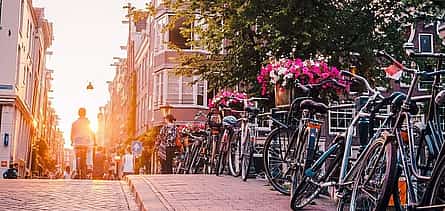 Photo 2 Private direct transfer from Rotterdam to Amsterdam