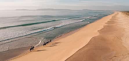 Photo 2 Horse Riding on the Beach with private transfer from Lisbon