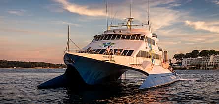 Photo 2 Daytrip to Venice by Catamaran