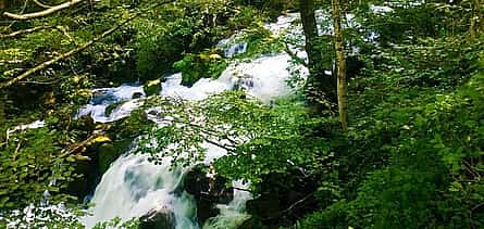 Photo 2 Lechkhumi Escape: Nature, Hidden Gems & Usakhelouri Wine