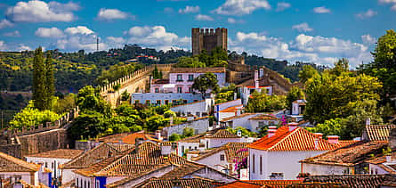 Photo 2 Historic  Óbidos and  Mafra Private Tour