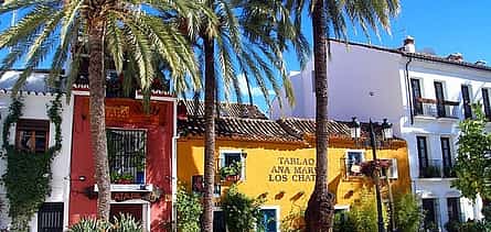 Photo 2 Private Day Trip From Malaga To Marbella and back