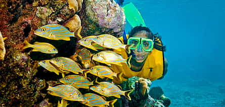 Φωτογραφία 2 Riviera Maya Snorkeling Adventure: Lagoon, Cenote & Underground River