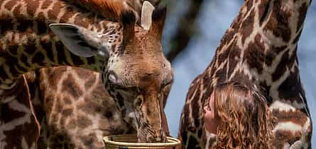 Foto 2 From Arusha: Serval Wildlife Sanctuary & Chemka Hot Spring