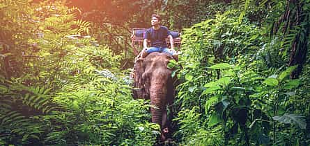 Foto 2 Bangkok - Kanchanaburi: Fluss Kwai mit Elefantenreiten und Bamboo Rafting