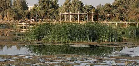 Photo 2 Ultimate Jordan Cultural Journey: Amman, Desert Castles, Pella, Umm Qais, Jerash, Dead Sea, Madaba, Mount Nebo, Kerak, Petra & Wadi Rum – 3★ Hotel (05 nights at Amman, 01 Night at Petra, 01 Night at Wadi Rum)