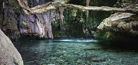 Photo 2 Akamas with Baths of Aphrodite and Blue Lagoon Day Guided Tour from Paphos